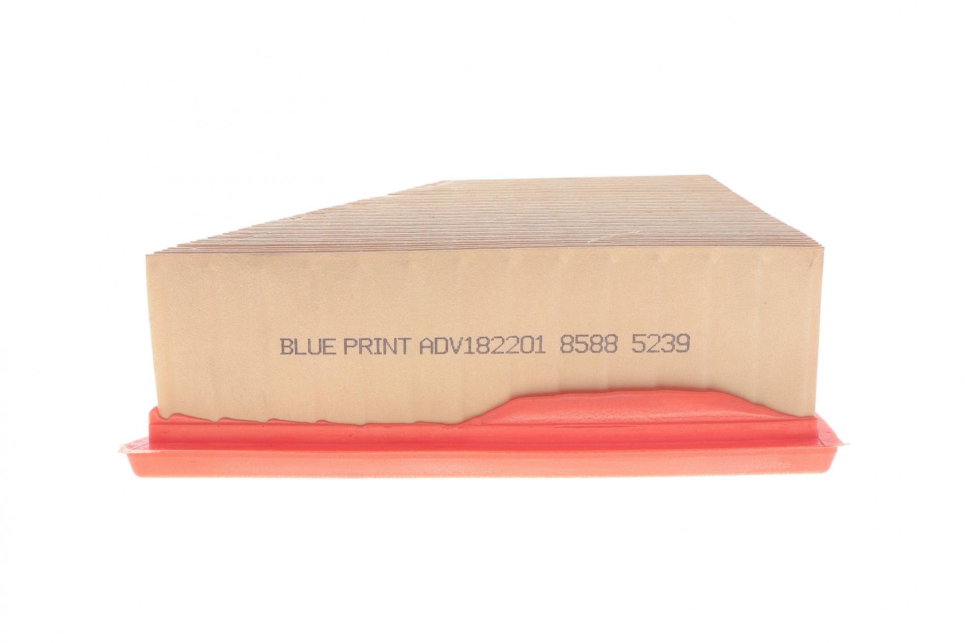 ADV182201 BLUE PRINT